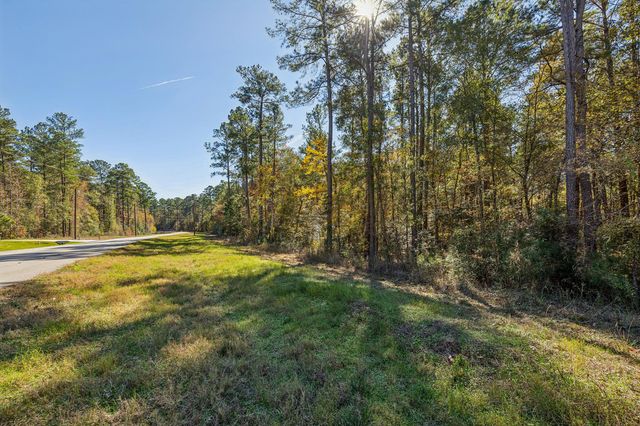 14-36-13 Sandpiper Drive, New Waverly, TX 77358