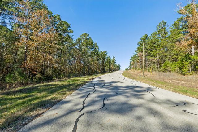 14-36-13 Sandpiper Drive, New Waverly, TX 77358