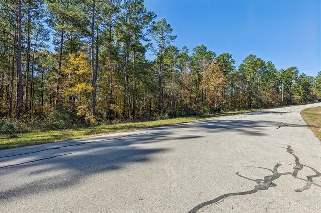 14-36-13 Sandpiper Drive, New Waverly, TX 77358