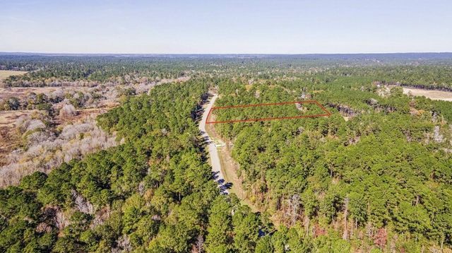 14-36-13 Sandpiper Drive, New Waverly, TX 77358