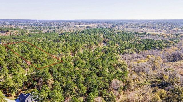 14-36-13 Sandpiper Drive, New Waverly, TX 77358