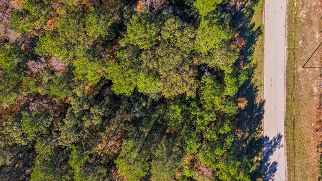 14-36-13 Sandpiper Drive, New Waverly, TX 77358