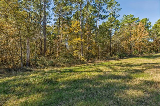 14-36-13 Sandpiper Drive, New Waverly, TX 77358