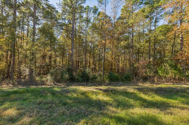 14-36-13 Sandpiper Drive, New Waverly, TX 77358