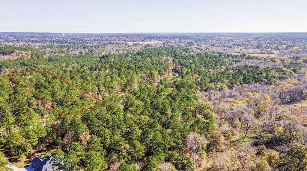 14-36-13 Sandpiper Drive, New Waverly, TX 77358