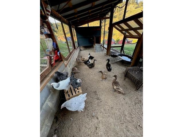 12090 Tecumseh Trl, Conifer, CO 80433