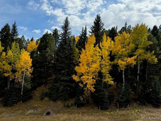12090 Tecumseh Trl, Conifer, CO 80433