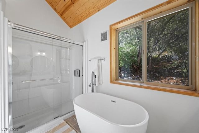 310 Kris Kringle Road, Mount Charleston, NV 89124