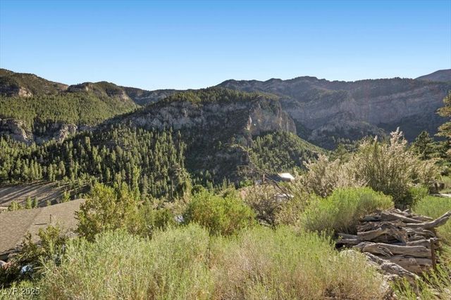 310 Kris Kringle Road, Mount Charleston, NV 89124