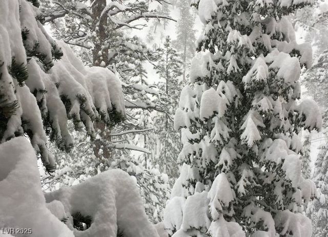 310 Kris Kringle Road, Mount Charleston, NV 89124