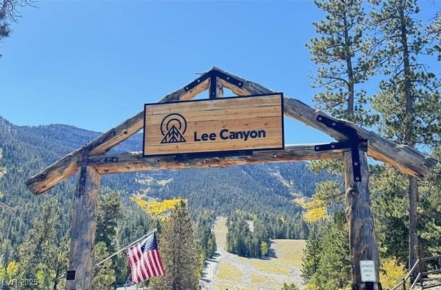 310 Kris Kringle Road, Mount Charleston, NV 89124