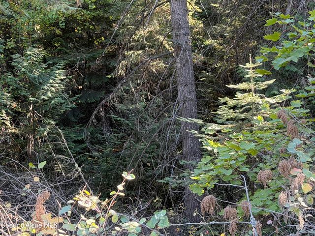 NNA Gray Eagle LT 3, BLK 1, Rathdrum, ID 83858 property photo