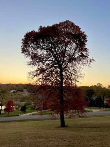 1159 Saddle Springs Drive, Thompsons Station, TN 37179