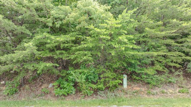 Lot 14 Autumnwood LN, Troutville, VA 24175