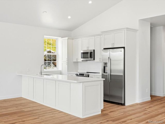 100 Roworth Street, Central City, CO 80427