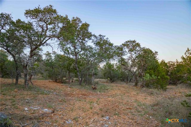 8507 Hammett's Crossing, Round Mountain, TX 78663