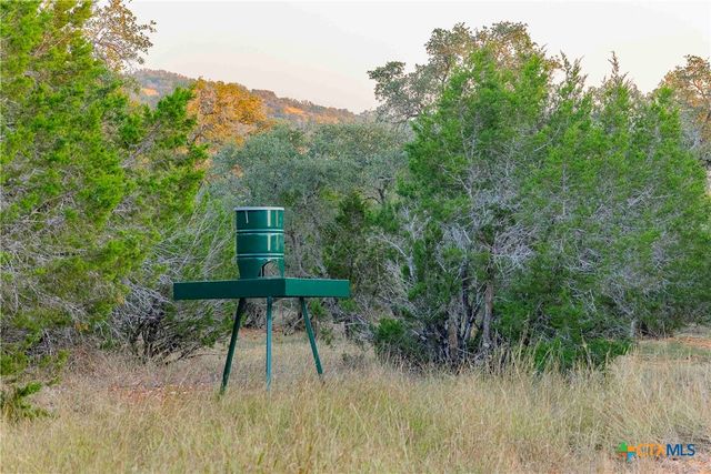 8507 Hammett's Crossing, Round Mountain, TX 78663