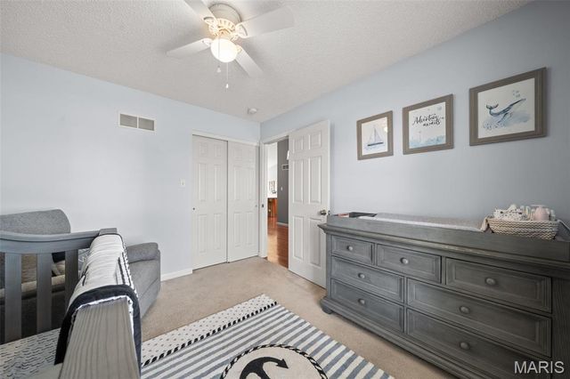 202 Schmittgens Drive, Wentzville, MO 63385