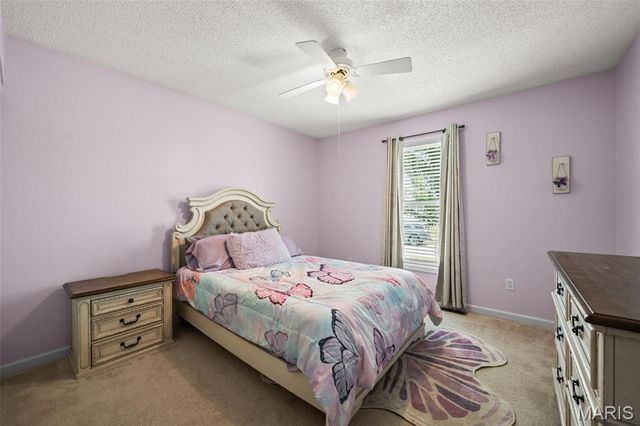 202 Schmittgens Drive, Wentzville, MO 63385