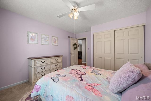 202 Schmittgens Drive, Wentzville, MO 63385