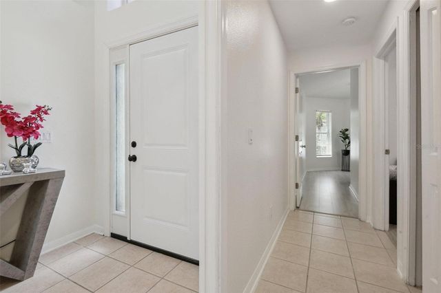 13405 FAWN SPRINGS DRIVE, Tampa, FL 33626