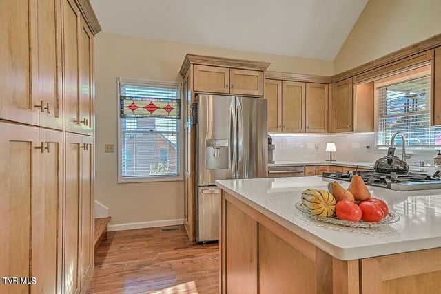 122 Orchard Meadows Lane, Roan Mountain, TN 37687