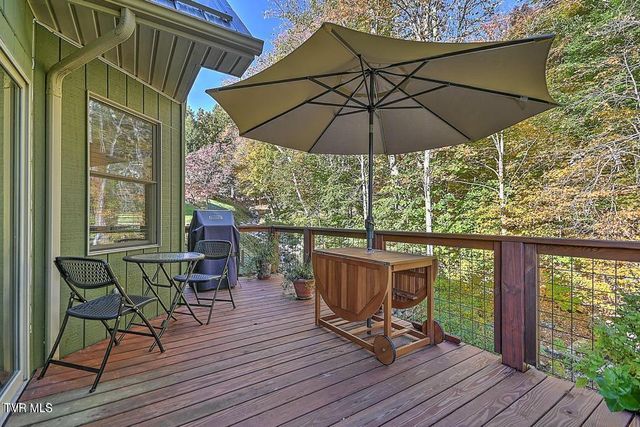 122 Orchard Meadows Lane, Roan Mountain, TN 37687