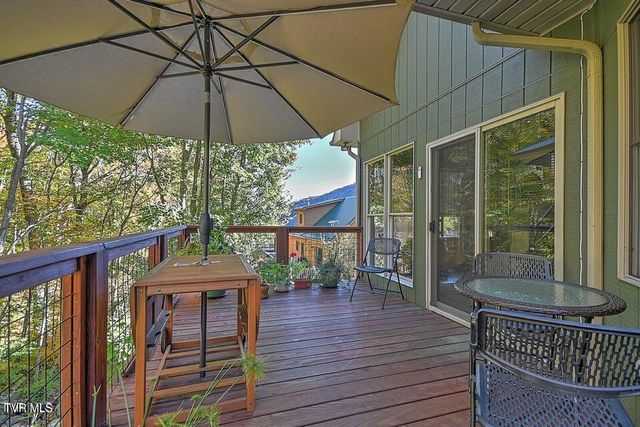 122 Orchard Meadows Lane, Roan Mountain, TN 37687