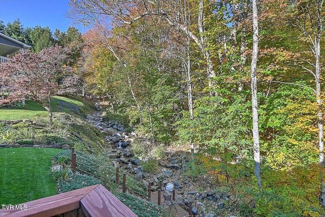 122 Orchard Meadows Lane, Roan Mountain, TN 37687