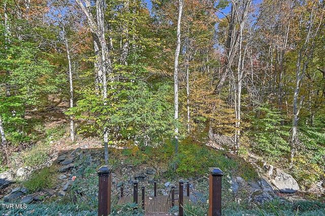 122 Orchard Meadows Lane, Roan Mountain, TN 37687