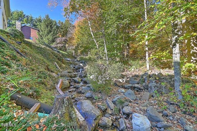 122 Orchard Meadows Lane, Roan Mountain, TN 37687