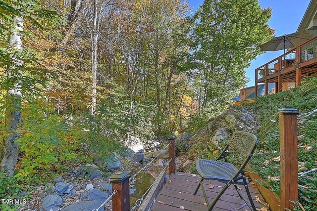 122 Orchard Meadows Lane, Roan Mountain, TN 37687