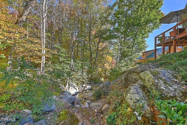 122 Orchard Meadows Lane, Roan Mountain, TN 37687