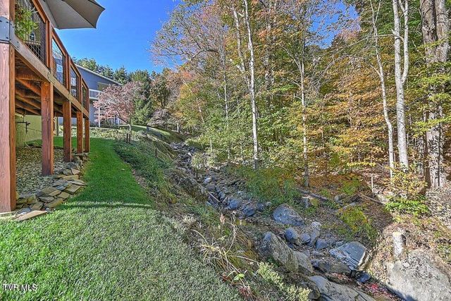 122 Orchard Meadows Lane, Roan Mountain, TN 37687