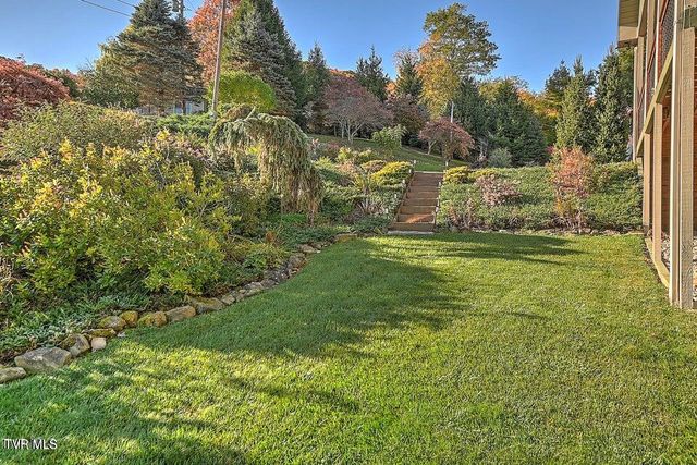 122 Orchard Meadows Lane, Roan Mountain, TN 37687