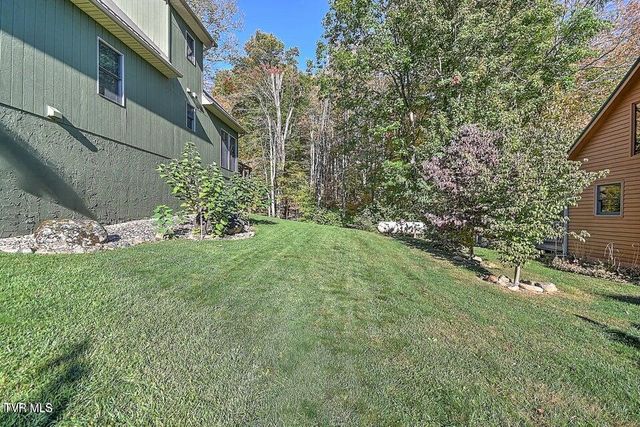 122 Orchard Meadows Lane, Roan Mountain, TN 37687