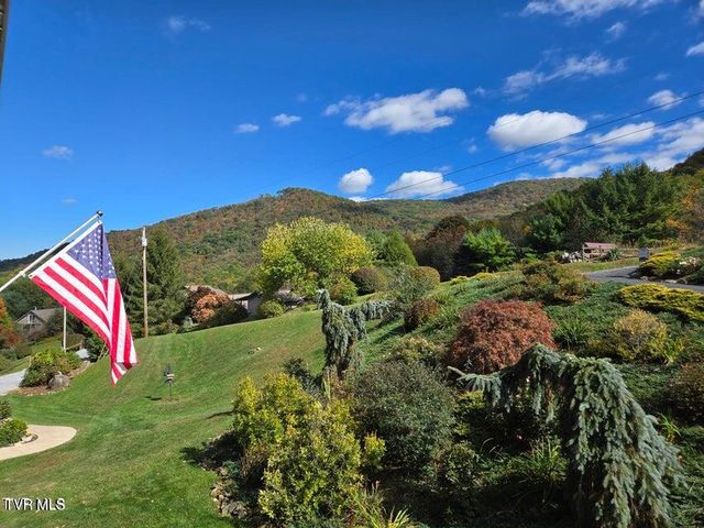 122 Orchard Meadows Lane, Roan Mountain, TN 37687
