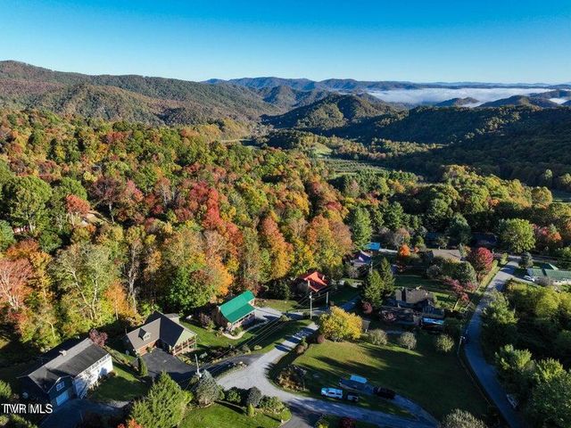 122 Orchard Meadows Lane, Roan Mountain, TN 37687
