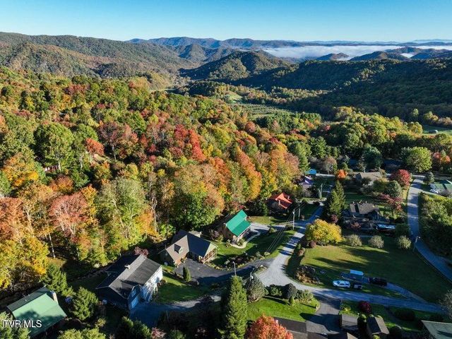 122 Orchard Meadows Lane, Roan Mountain, TN 37687