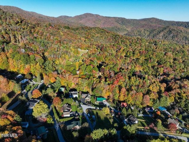 122 Orchard Meadows Lane, Roan Mountain, TN 37687