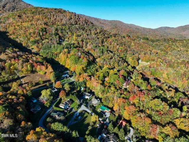 122 Orchard Meadows Lane, Roan Mountain, TN 37687