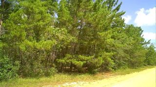 0 CHILDS ROAD, Interlachen, FL 32148