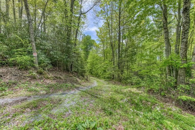 162 Murph Potter Lane, Roan Mountain, TN 37687