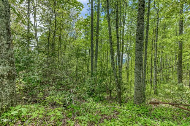 162 Murph Potter Lane, Roan Mountain, TN 37687