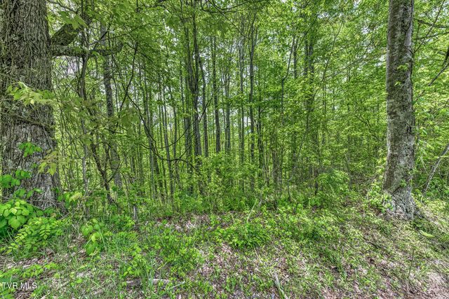 162 Murph Potter Lane, Roan Mountain, TN 37687