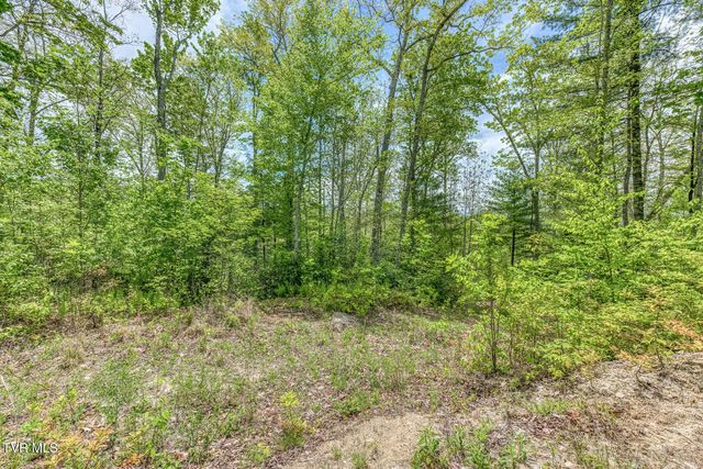 162 Murph Potter Lane, Roan Mountain, TN 37687