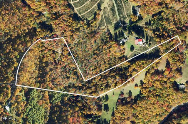 162 Murph Potter Lane, Roan Mountain, TN 37687