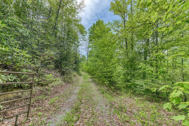 162 Murph Potter Lane, Roan Mountain, TN 37687