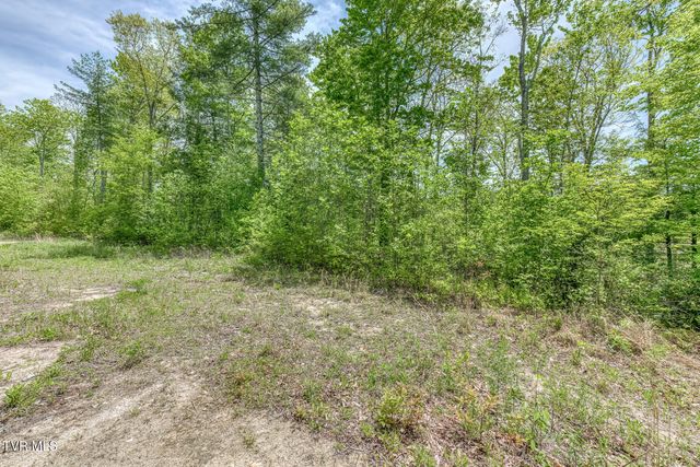 162 Murph Potter Lane, Roan Mountain, TN 37687