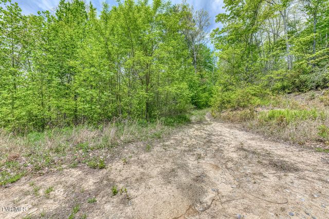 162 Murph Potter Lane, Roan Mountain, TN 37687